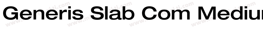 Generis Slab Com Medium字体转换